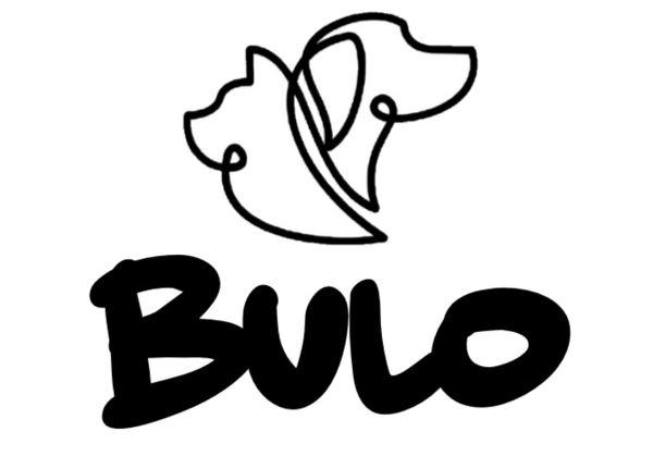 Bulo 